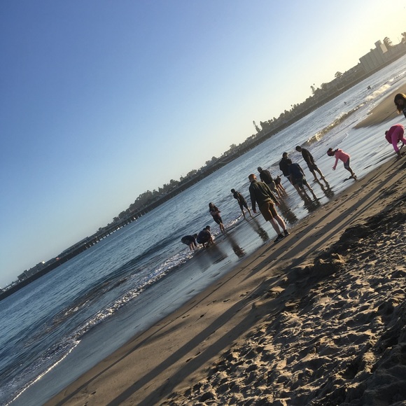 Meet your Posher, Alice - Picture 1 of 1